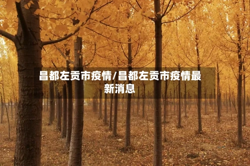 昌都左贡市疫情/昌都左贡市疫情最新消息-第1张图片