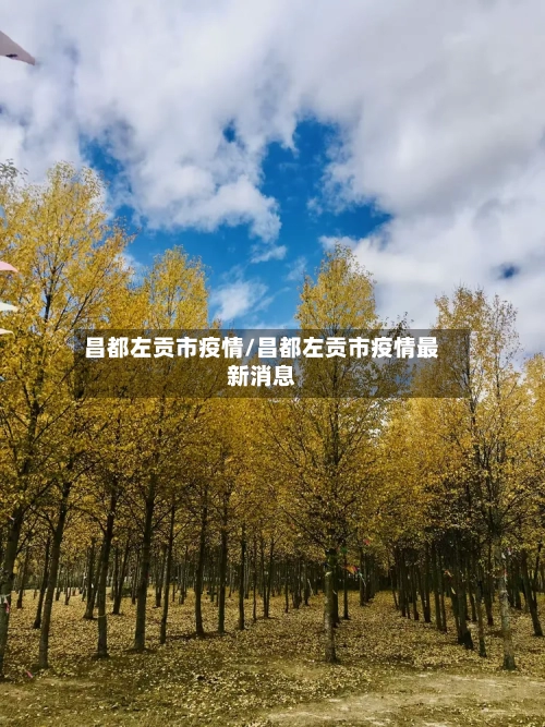 昌都左贡市疫情/昌都左贡市疫情最新消息-第2张图片
