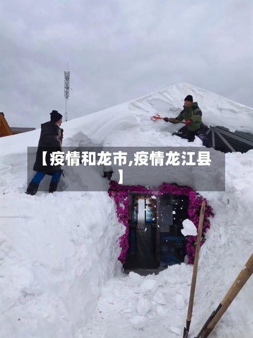 【疫情和龙市,疫情龙江县】-第2张图片