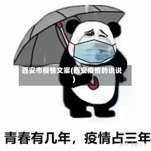 西安市疫情文案(西安疫情的说说)-第3张图片