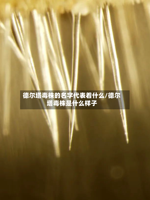 德尔塔毒株的名字代表着什么/德尔塔毒株是什么样子-第1张图片
