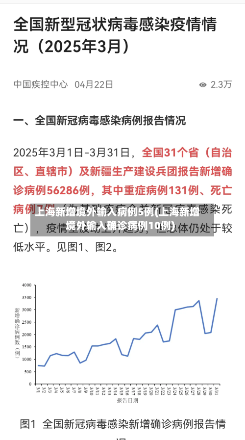 上海新增境外输入病例5例(上海新增境外输入确诊病例10例)-第2张图片