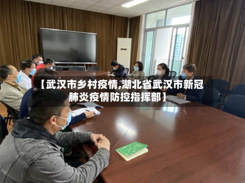 【武汉市乡村疫情,湖北省武汉市新冠肺炎疫情防控指挥部】-第1张图片