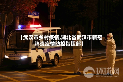 【武汉市乡村疫情,湖北省武汉市新冠肺炎疫情防控指挥部】-第2张图片