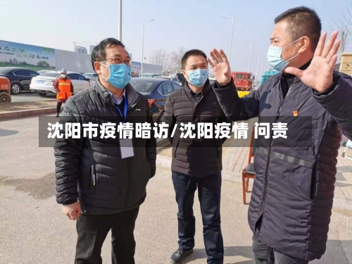沈阳市疫情暗访/沈阳疫情 问责-第1张图片
