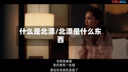 什么是北漂/北漂是什么东西-第3张图片