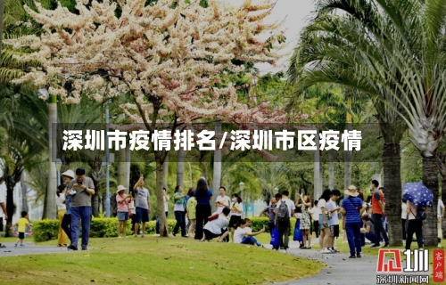 深圳市疫情排名/深圳市区疫情-第2张图片