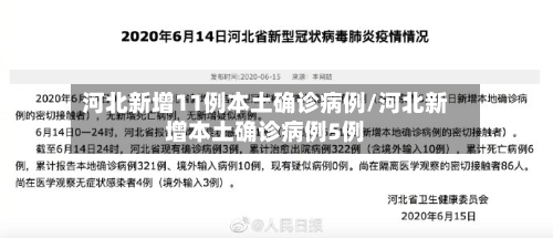 河北新增11例本土确诊病例/河北新增本土确诊病例5例-第1张图片