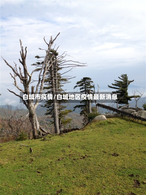 白域市疫情/白城地区疫情最新消息-第2张图片