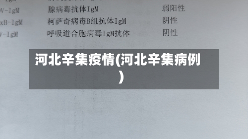 河北辛集疫情(河北辛集病例)-第2张图片