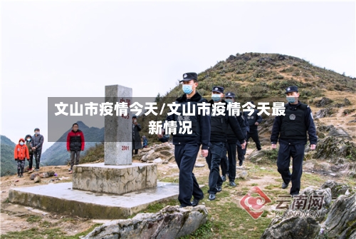 文山市疫情今天/文山市疫情今天最新情况-第2张图片