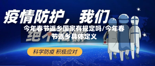 今年春节返乡国家有规定吗/今年春节返乡具体定义-第2张图片