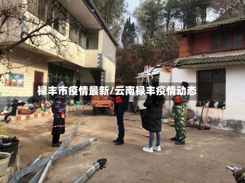 禄丰市疫情最新/云南禄丰疫情动态-第2张图片