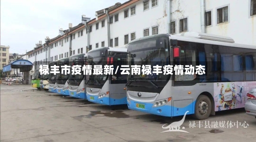 禄丰市疫情最新/云南禄丰疫情动态-第1张图片