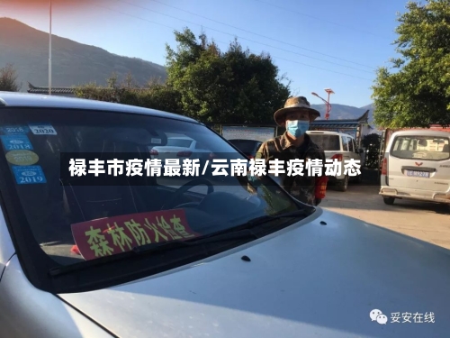 禄丰市疫情最新/云南禄丰疫情动态-第3张图片