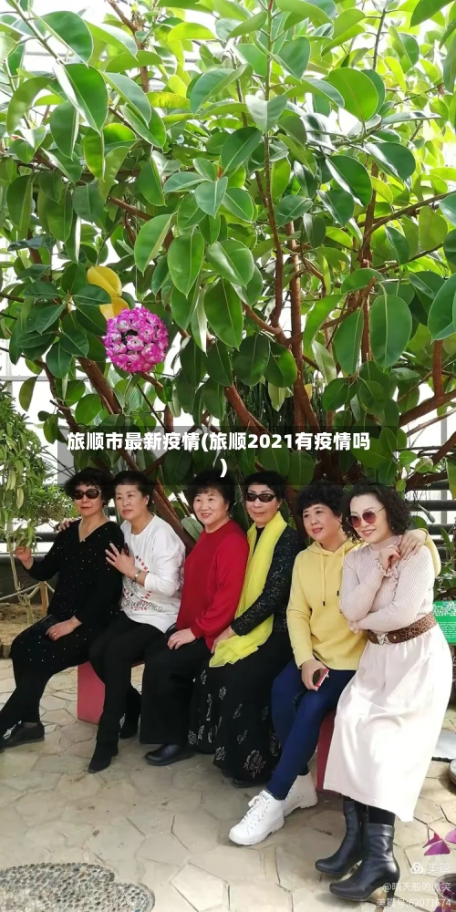 旅顺市最新疫情(旅顺2021有疫情吗)-第2张图片