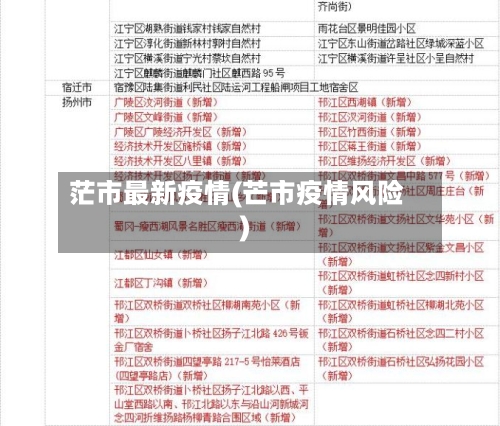 茫市最新疫情(芒市疫情风险)-第1张图片