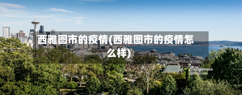 西雅图市的疫情(西雅图市的疫情怎么样)-第1张图片