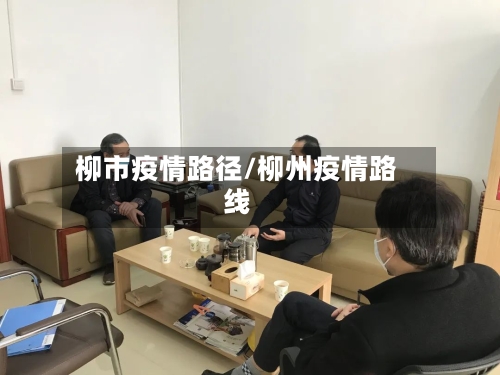 柳市疫情路径/柳州疫情路线-第2张图片