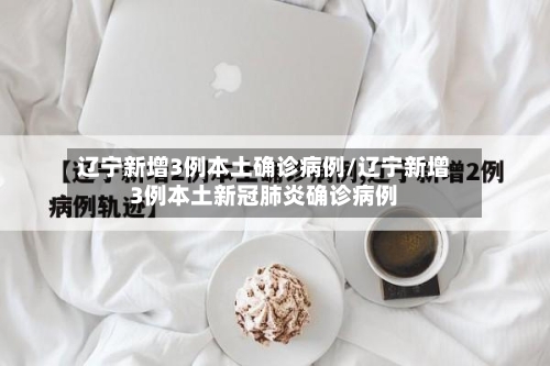 辽宁新增3例本土确诊病例/辽宁新增3例本土新冠肺炎确诊病例-第2张图片
