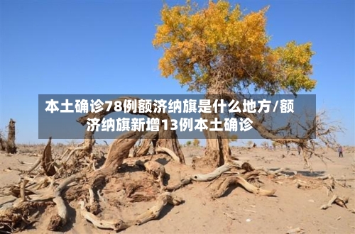 本土确诊78例额济纳旗是什么地方/额济纳旗新增13例本土确诊-第2张图片