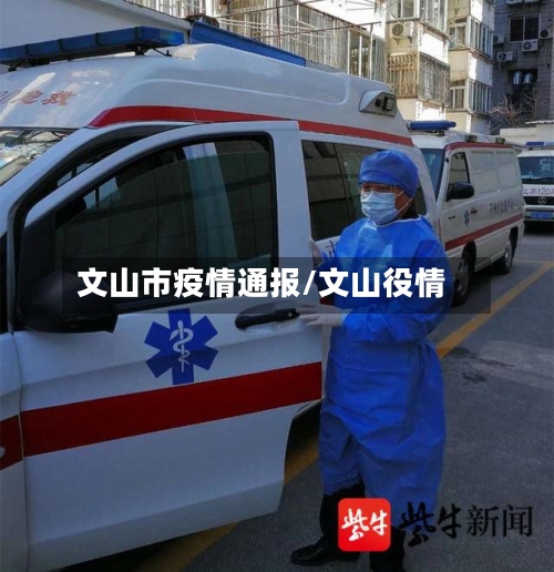 文山市疫情通报/文山役情-第2张图片