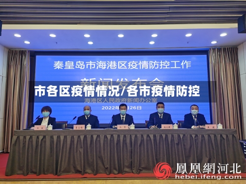 市各区疫情情况/各市疫情防控-第1张图片