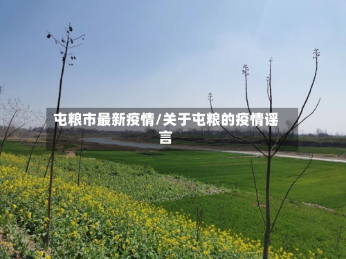 屯粮市最新疫情/关于屯粮的疫情谣言-第1张图片