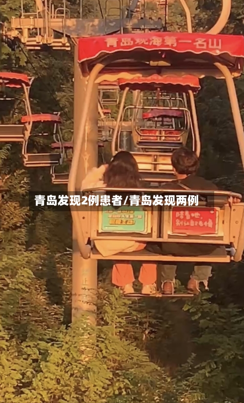 青岛发现2例患者/青岛发现两例-第3张图片