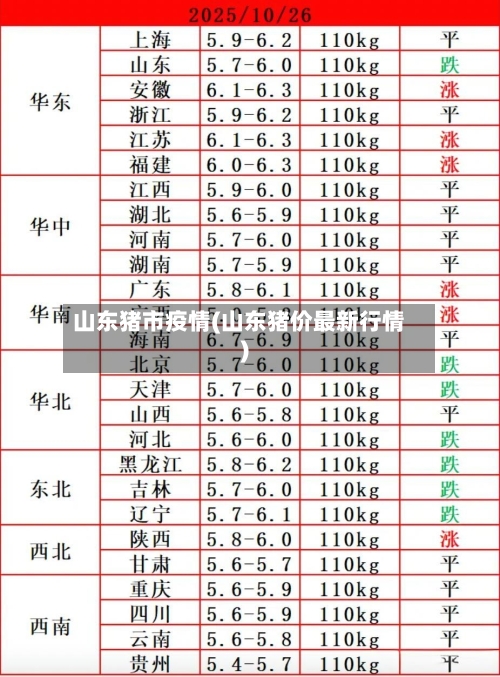 山东猪市疫情(山东猪价最新行情)-第1张图片