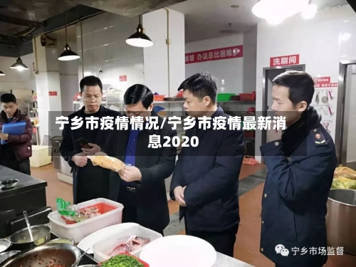 宁乡市疫情情况/宁乡市疫情最新消息2020-第3张图片