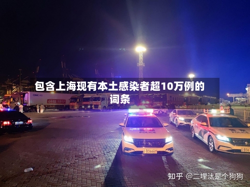 包含上海现有本土感染者超10万例的词条-第3张图片