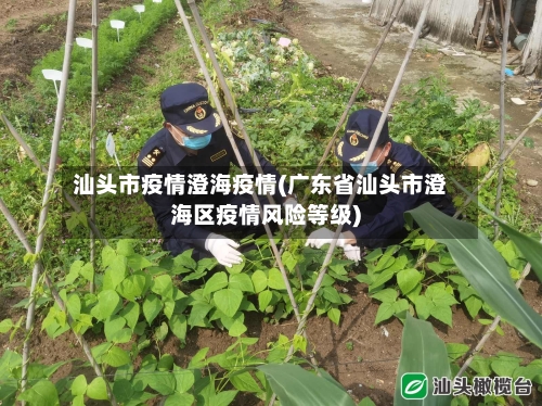 汕头市疫情澄海疫情(广东省汕头市澄海区疫情风险等级)-第1张图片