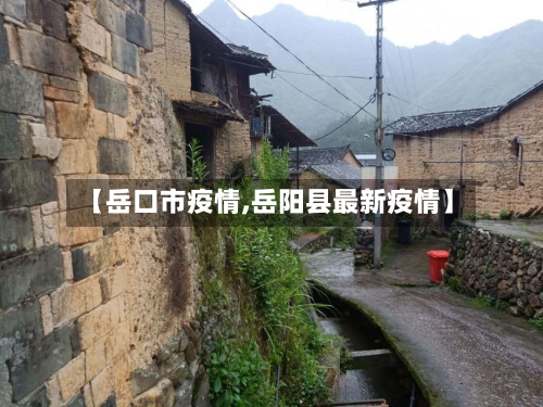【岳口市疫情,岳阳县最新疫情】-第3张图片