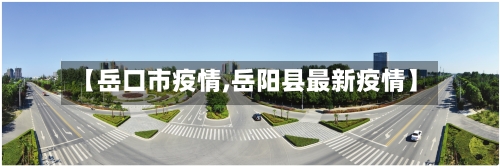 【岳口市疫情,岳阳县最新疫情】-第1张图片