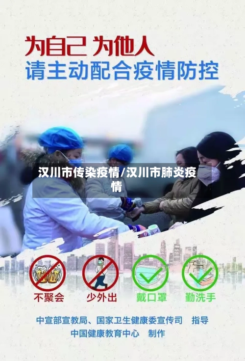 汉川市传染疫情/汉川市肺炎疫情-第3张图片