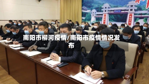 南阳市柳河疫情/南阳市疫情情况发布-第3张图片