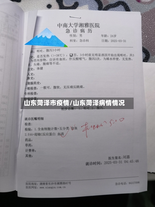 山东菏泽市疫情/山东菏泽病情情况-第1张图片
