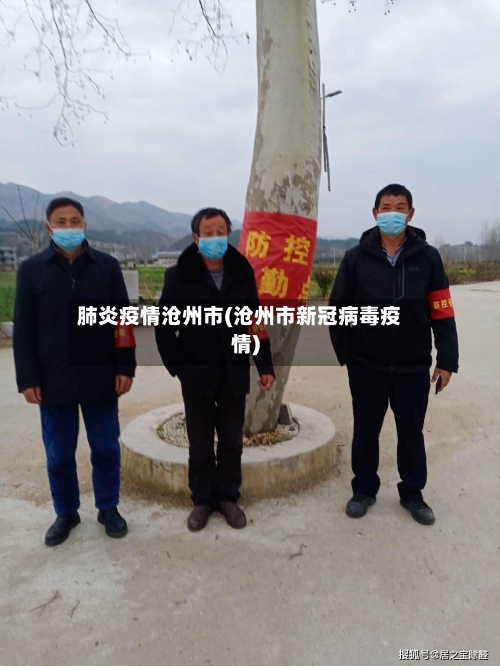 肺炎疫情沧州市(沧州市新冠病毒疫情)-第2张图片