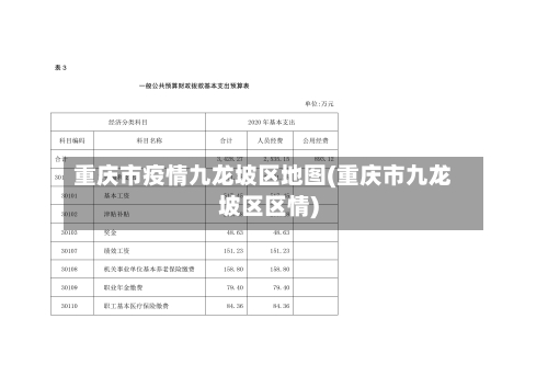 重庆市疫情九龙坡区地图(重庆市九龙坡区区情)-第1张图片