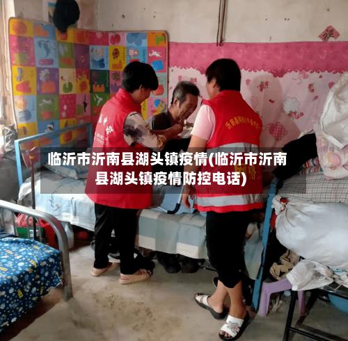 临沂市沂南县湖头镇疫情(临沂市沂南县湖头镇疫情防控电话)-第3张图片
