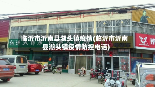 临沂市沂南县湖头镇疫情(临沂市沂南县湖头镇疫情防控电话)-第2张图片