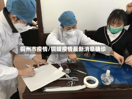 铜州市疫情/铜陵疫情最新消息确诊-第2张图片
