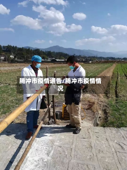 腾冲市疫情通告/腾冲市疫情情况-第1张图片