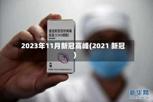 2023年11月新冠高峰(2021 新冠)-第2张图片