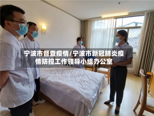 宁波市督查疫情/宁波市新冠肺炎疫情防控工作领导小组办公室-第3张图片