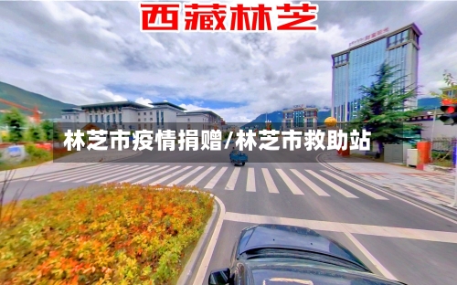 林芝市疫情捐赠/林芝市救助站-第1张图片