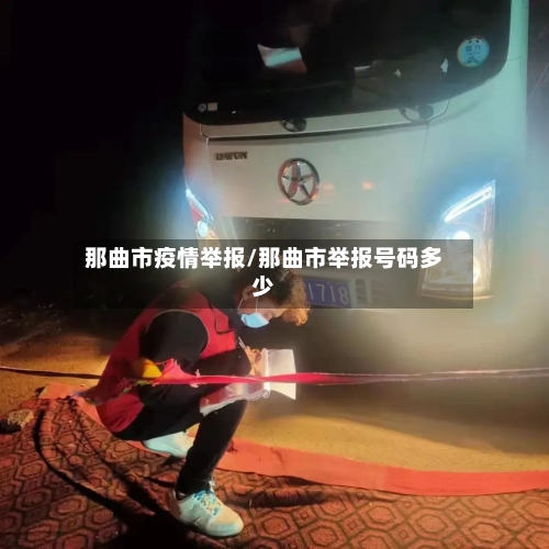 那曲市疫情举报/那曲市举报号码多少-第3张图片