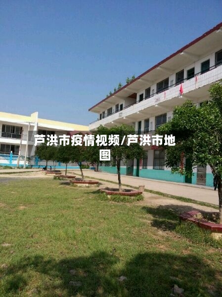 芦洪市疫情视频/芦洪市地图-第1张图片