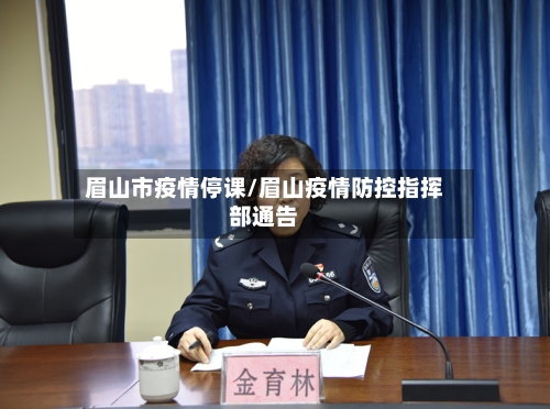 眉山市疫情停课/眉山疫情防控指挥部通告-第2张图片